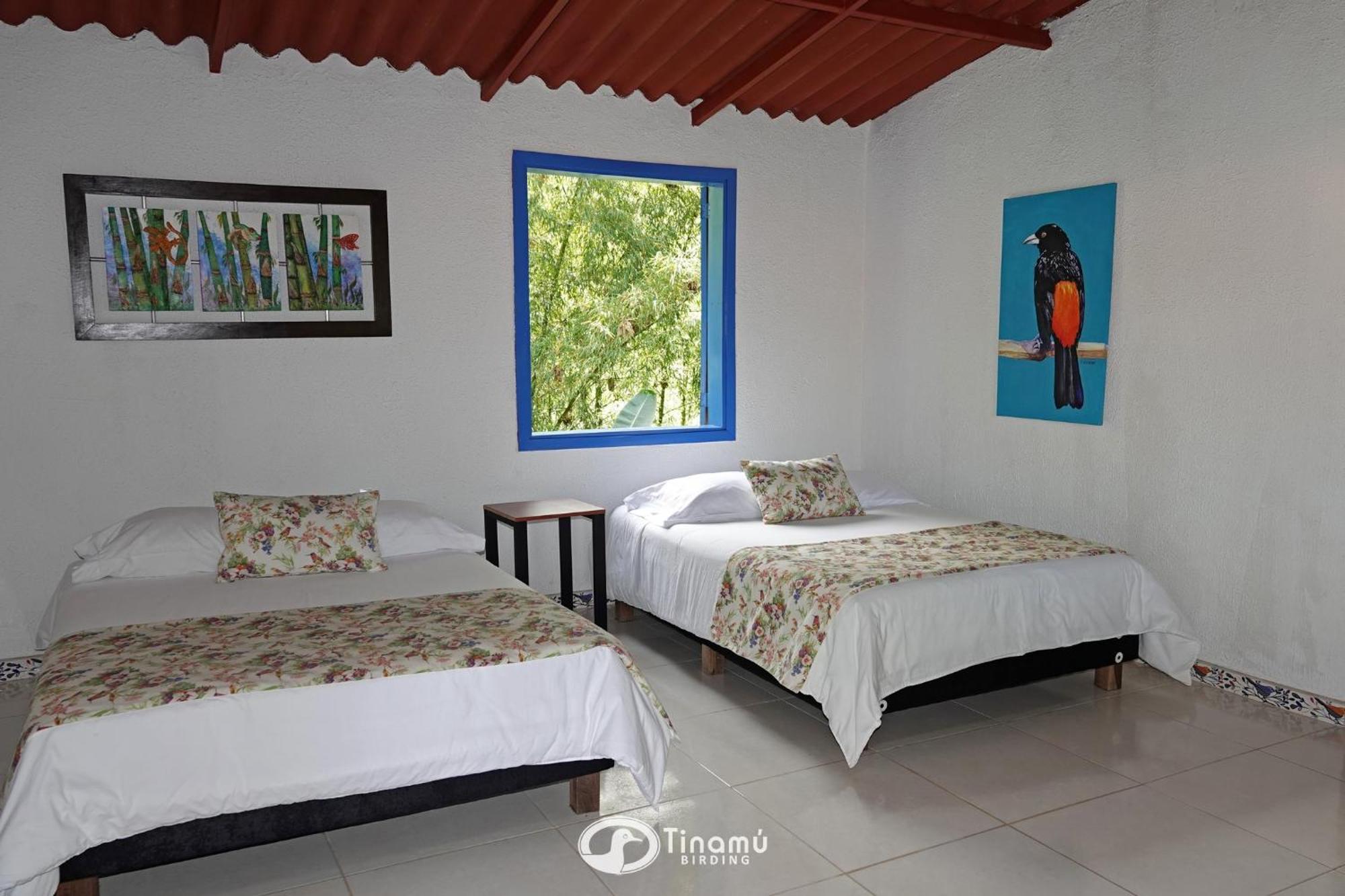 Tinamu Birding Hotel La Manuelita Exterior foto
